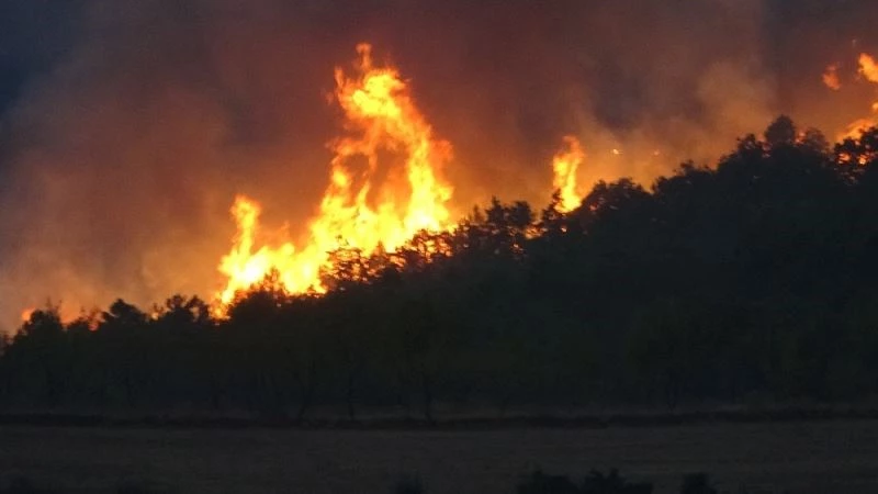 2 mahalleyi tehdit eden yangın 6 saattir kontrol altına alınamadı
