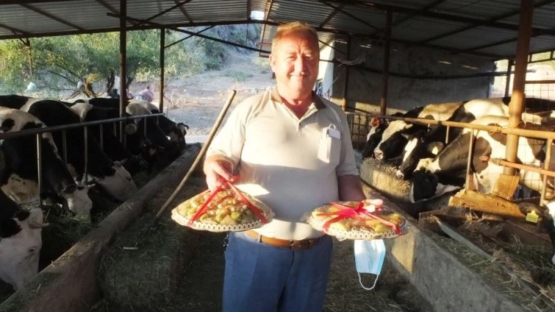 Balıkesirli besici ineklerini çikolata ile besliyor
