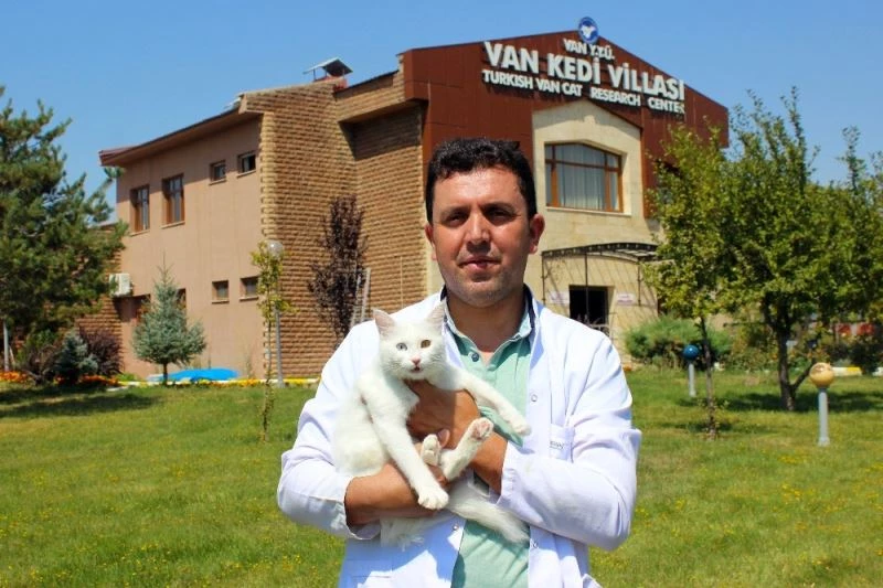Gençliğini sevimli Van kedilerine adadı
