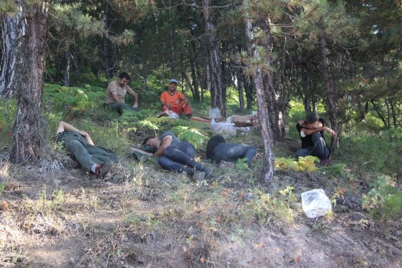 Saatlerce yangınla mücadele eden ekipler ormanda uyudu
