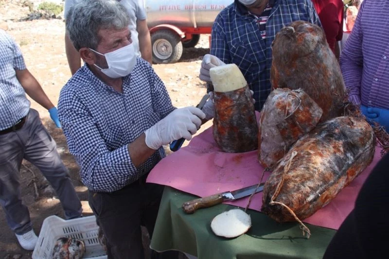 Peynirler mağaralardan çıkarılmaya başlandı
