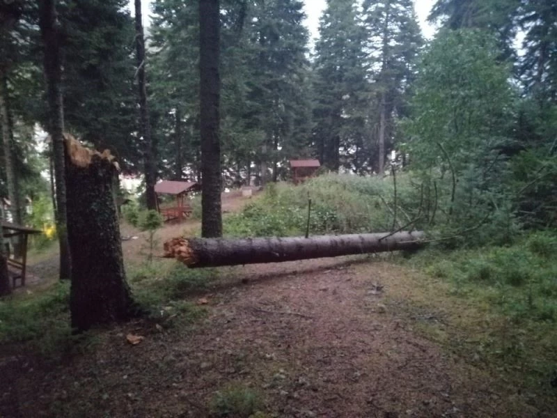 Denize açılan balıkçı tekneleri, fırtınada dev dalgaların arasında kaldı
