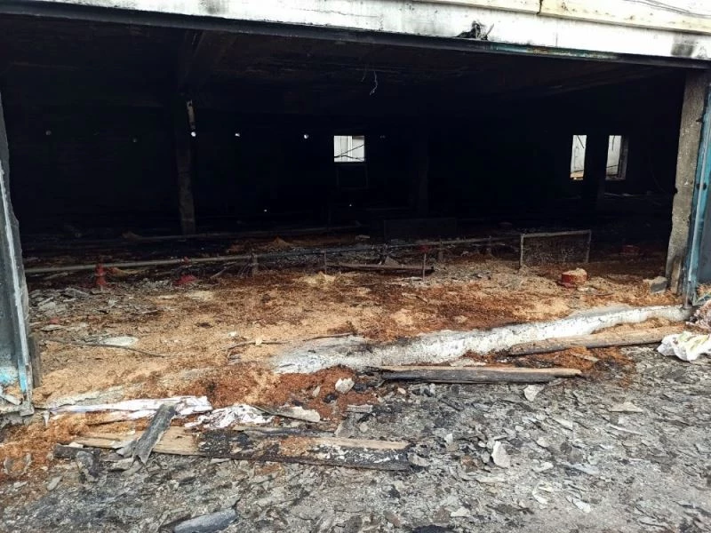 30 bin civciv için hazırlık yapılan kümes alev alev yandı
