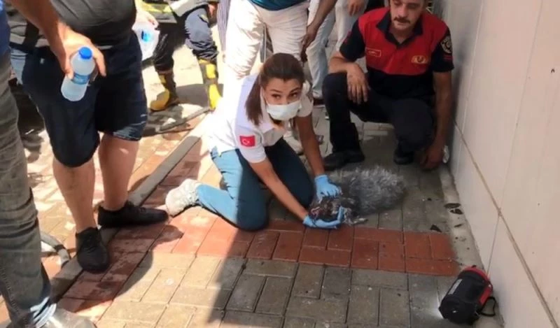 Alevlerin arasında kalan ’Prenses’ için seferber oldular
