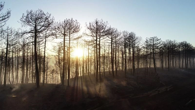 Yangının izleri gün ışığıyla ortaya çıktı
