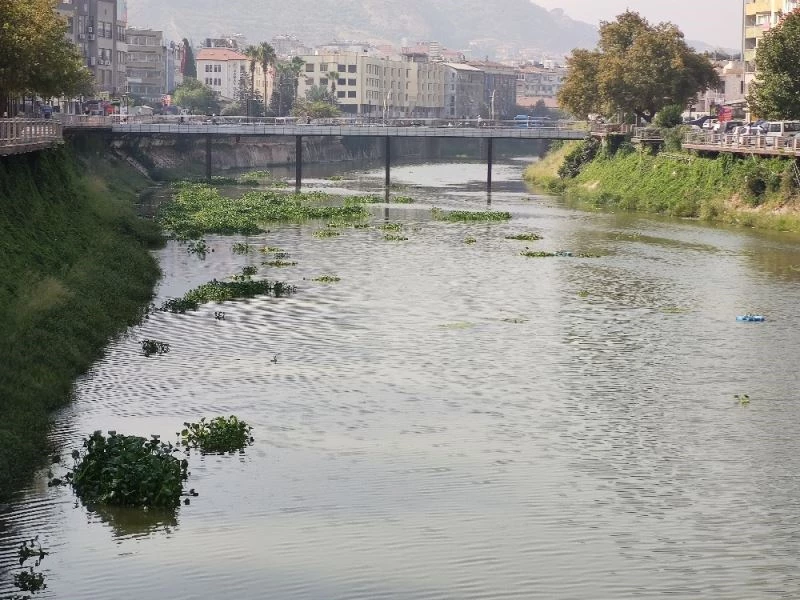 Bütün nehri istila etmişlerdi, yine geldiler
