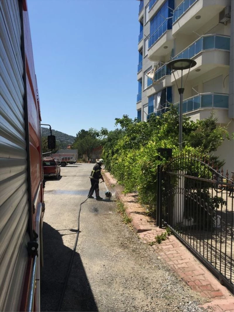 Yemek yaparken alev alan piknik tüpünü sokağa fırlattı