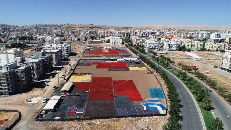 Tarladan tezgaha isot serüveni
