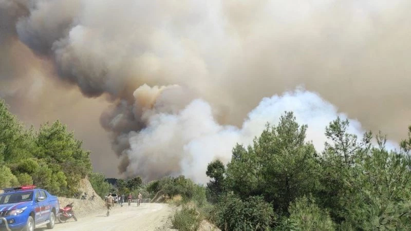 Samandağ’daki orman yangını büyüyerek devam ediyor

