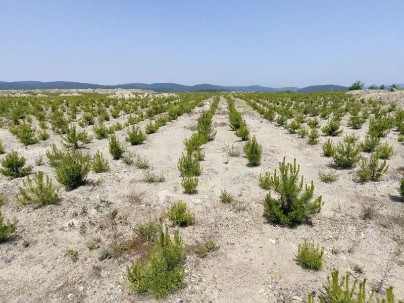 Türkiye’nin en büyüğü Bursa’da yükseliyor
