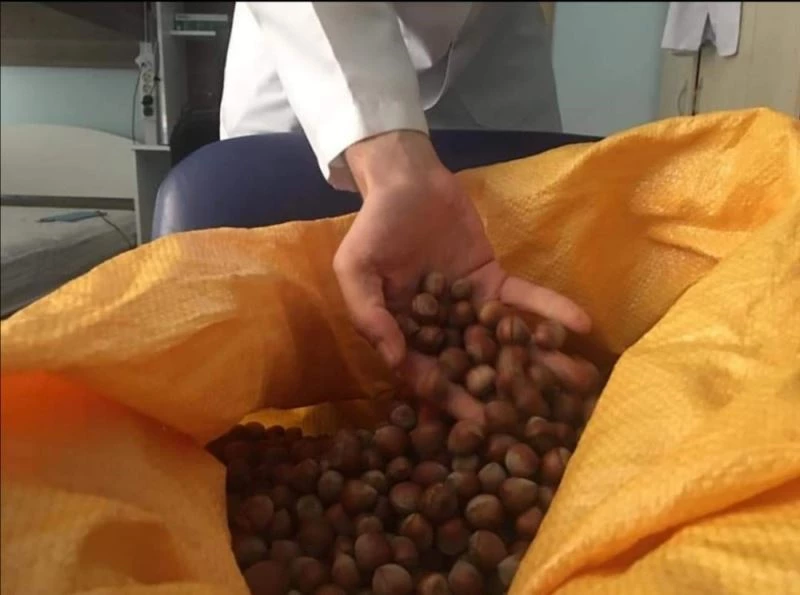 Giresun’dan İstanbul’daki sağlık çalışanlarına fındıklı motivasyon
