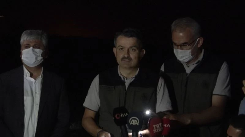 Bakan Pakdemirli: “Hatay yangınında can kaybımız yok, müdahale devam ediyor”
