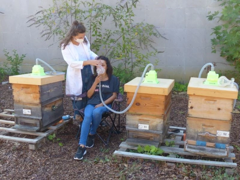 Astım, bronşit, amfizem ve KOAH hastaları için umut ışığı
