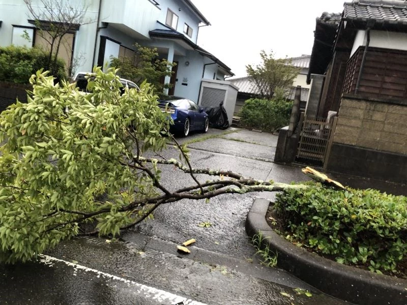 Haishen Tayfunu Japonya’da hayatı felç etti
