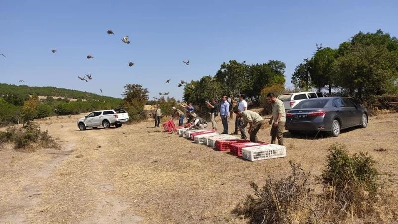 Edirne’de belgesiz ve usulsüz avcılığa izin verilmiyor

