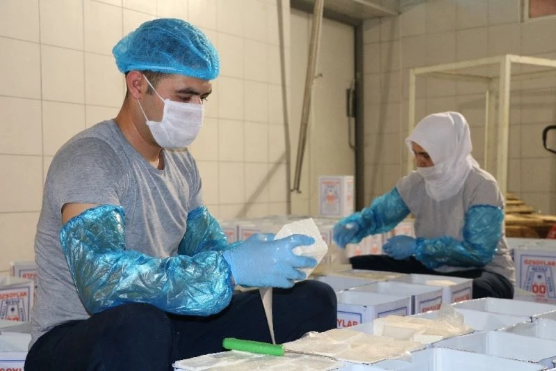 Gerçek Ezine peyniri nasıl anlaşılır
