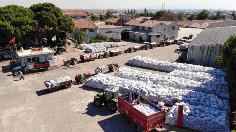 Üzüm alımları başladı, çiftçiler depoların önünde kuyruk oluşturdu
