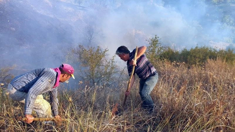 Aydın’da asırlık zeytin ağaçları alevlerle teslim oldu
