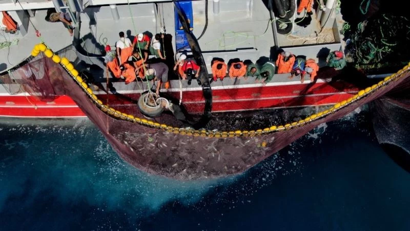 (Özel) Ekmeklerini sudan çıkaranlar
