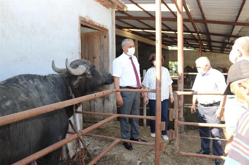 Samsun’da “Mandalarda Suni Tohumlama Projesi” başladı

