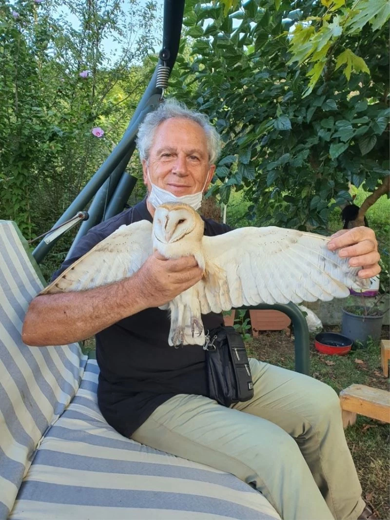 Dedelerinin evinde buldukları bitkin haldeki Peçeli Baykuş’u besleyip doğaya bıraktılar
