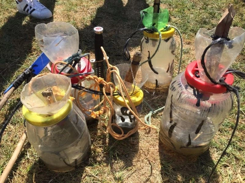 Beyşehir Gölü’nde yasa dışı sülük avcılığına 8 bin lira ceza
