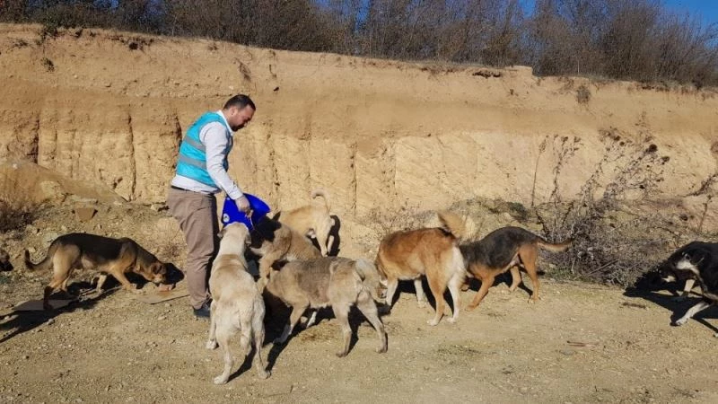 Yeni yıla da anlam kattılar
