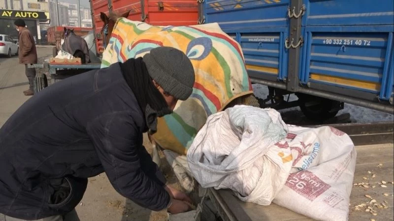 Atlarını battaniyeye sararak dondurucu soğuklardan koruyorlar

