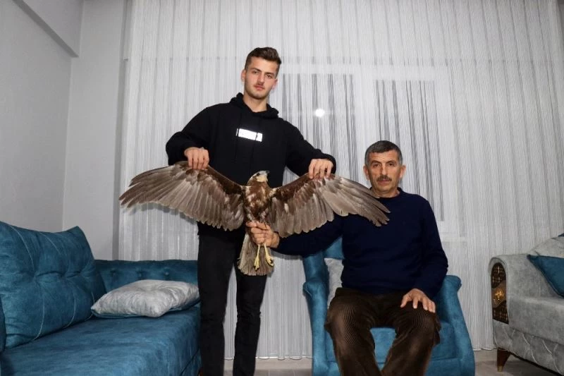 Uçmakta zorlanan doğana hayvan sever sahip çıktı

