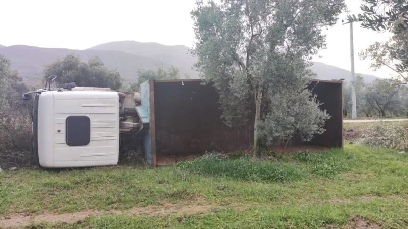 Bursa’da kamyon zeytinliğe devrildi
