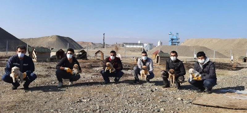 Dilsiz dostları için, örnek gönüllü destek
