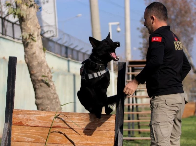 Onlar zehir tacirlerinin korkulu rüyası
