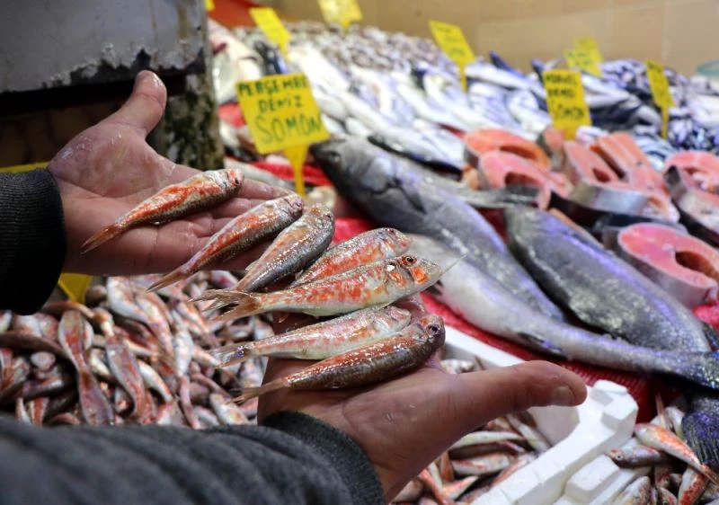 Hamsi yasağı sonrası ilgi mezgit ve barbuna kaydı
