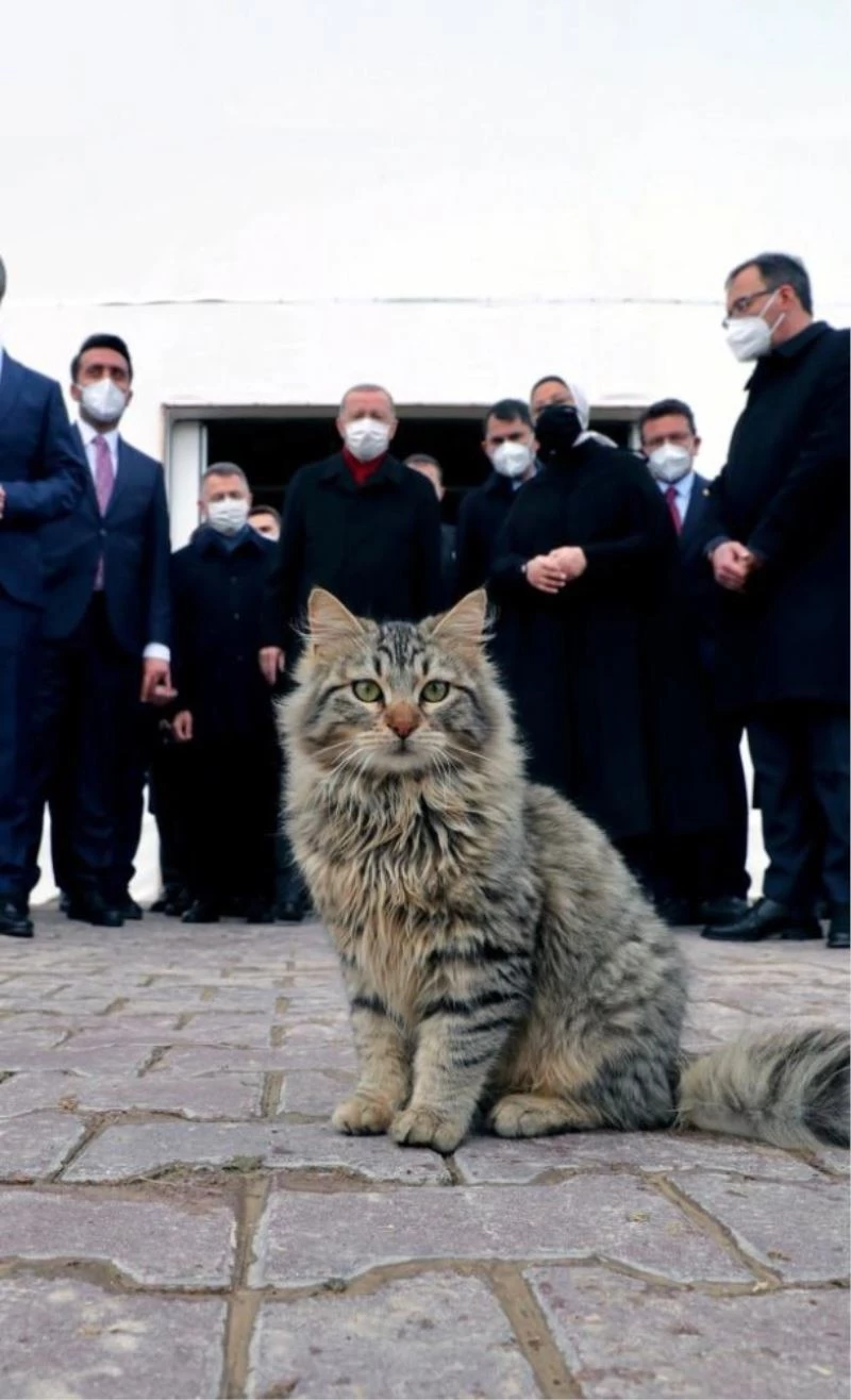 Cumhurbaşkanı Erdoğan Telegram ve BİP’te
