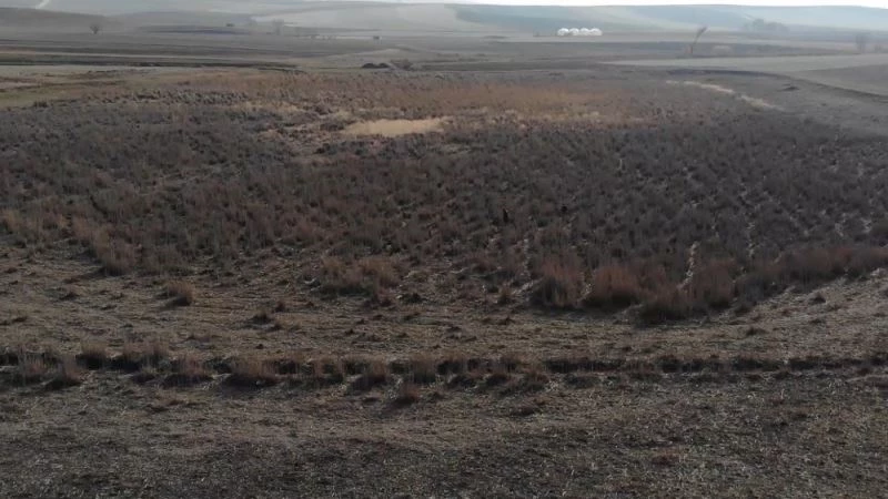 Gölet tamamen kurudu, ‘doğayı hor kullanıyoruz’ diye sitem etti
