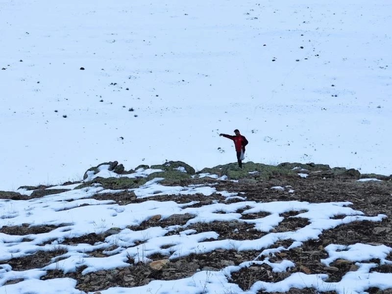 Karla kaplı dağlara yiyecek bıraktılar
