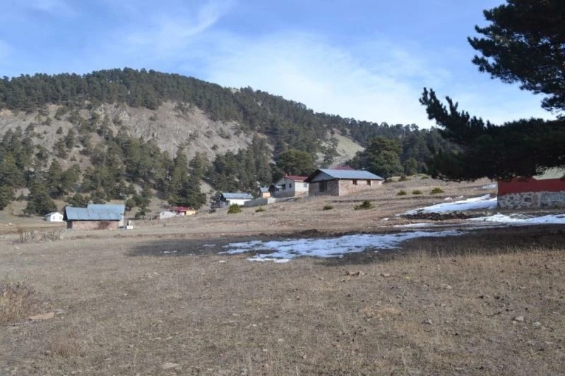 Yaylalar kara hasret kaldı
