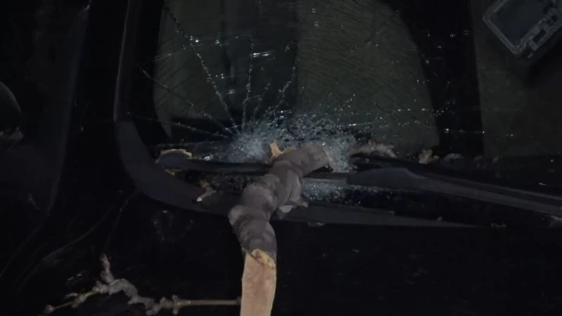 Bursa’da etkili olan lodos çınar ağacını devirdi
