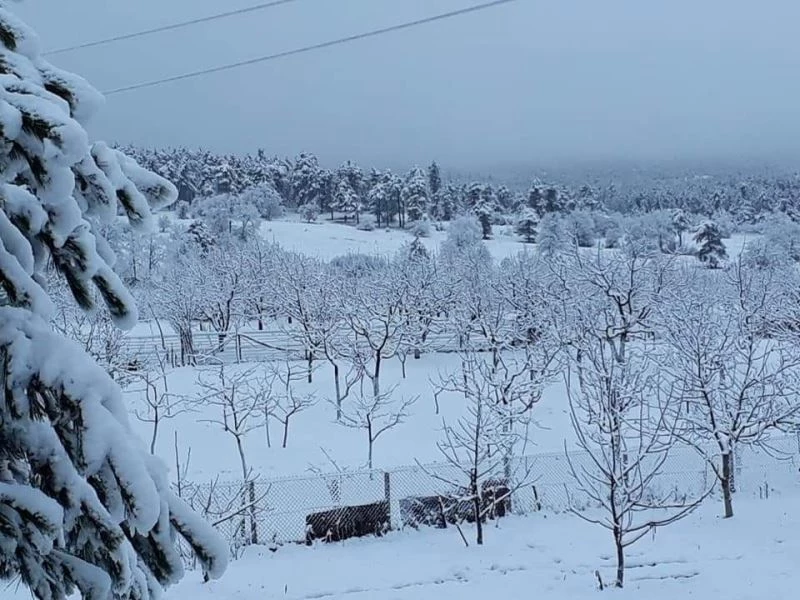 Keles beyazlara büründü
