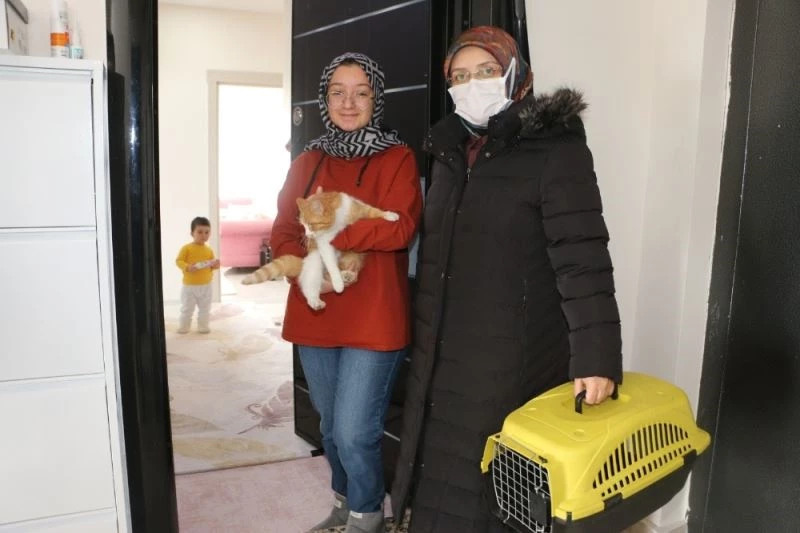 Hayrunnisa’ya kedi sürprizi
