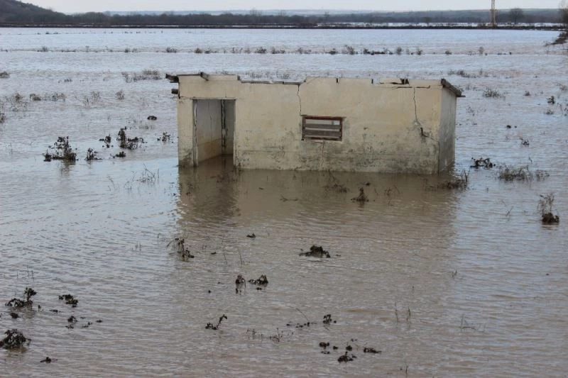 Ergene’de debi arttı, tarım arazileri sular altında kaldı

