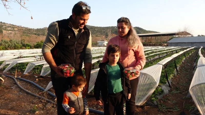 Şehir hayatından kaçıp çilek bahçesi kurdular
