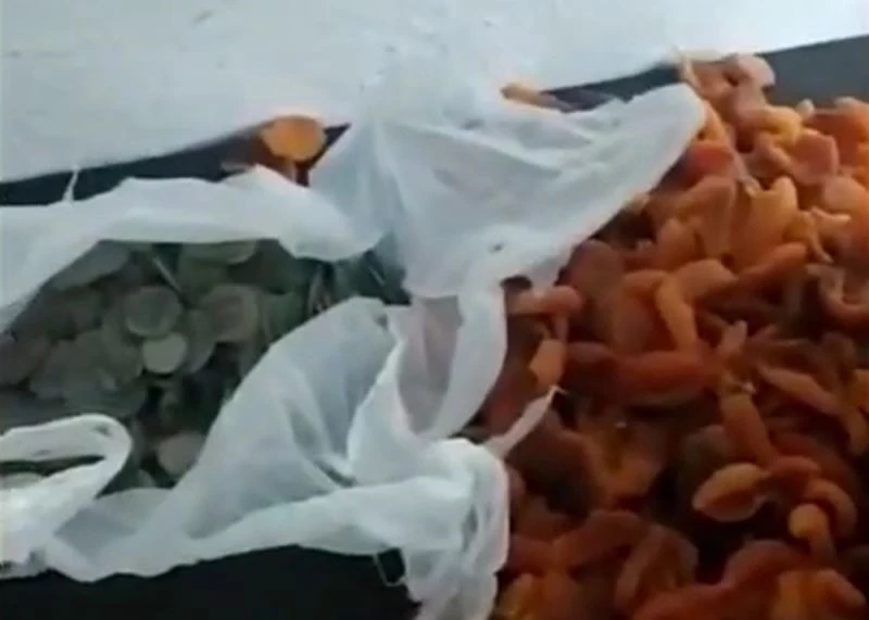 Kayısı kolilerinden Bizans Dönemi’ne ait eserler çıktı
