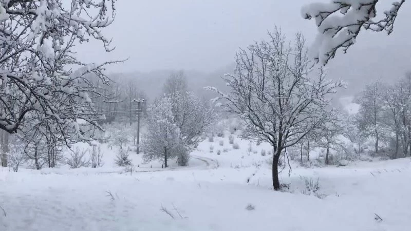 Kar yağışı, Dikmen Yaylası’nda seyrine doyumsuz manzaralar oluşturdu
