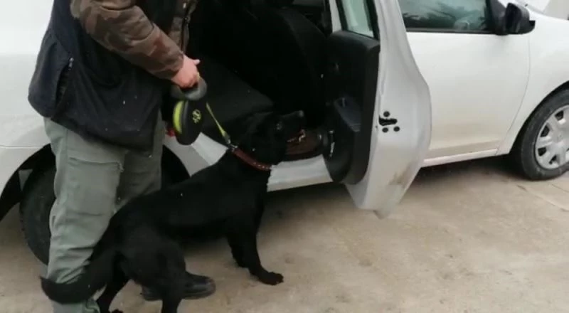 Gece, 462 adet uyuşturucu hap buldu
