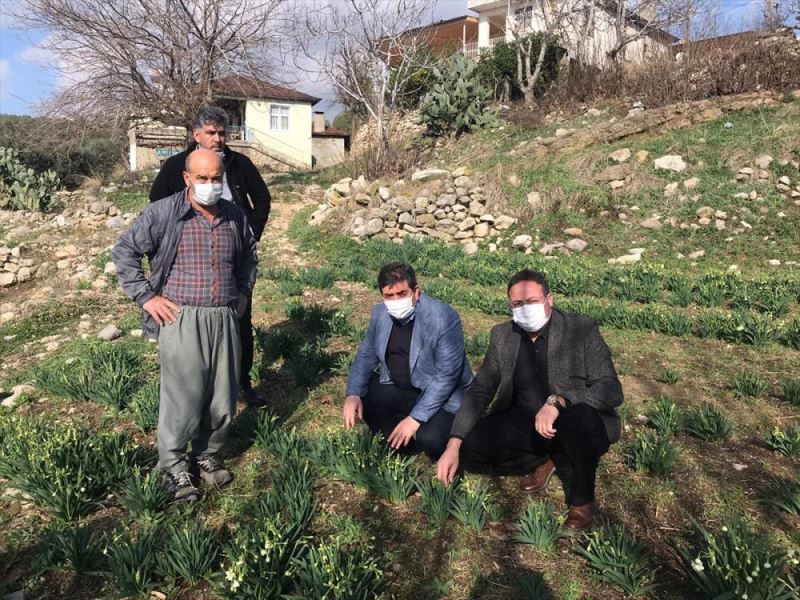 Tarsus Ziraat Odası Başkanı Avcı doludan zarar gören arazileri inceledi