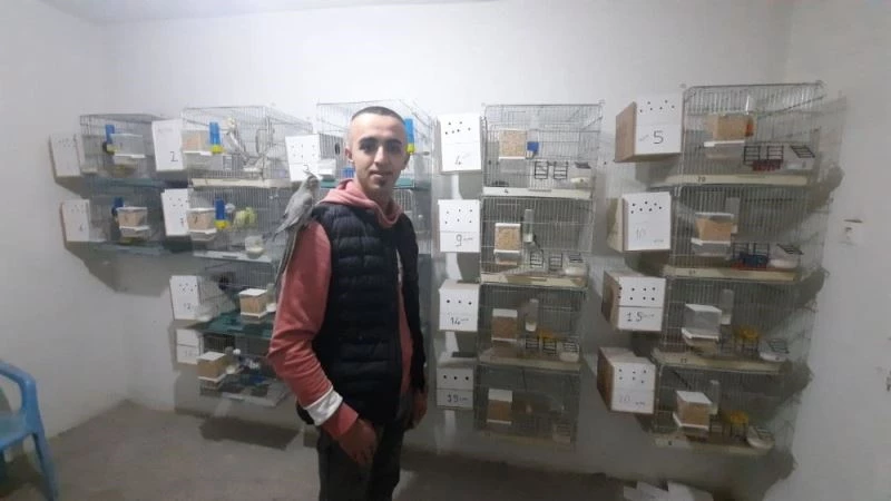 Evinin damında beslediği papağanları satarak gelir sağlıyor
