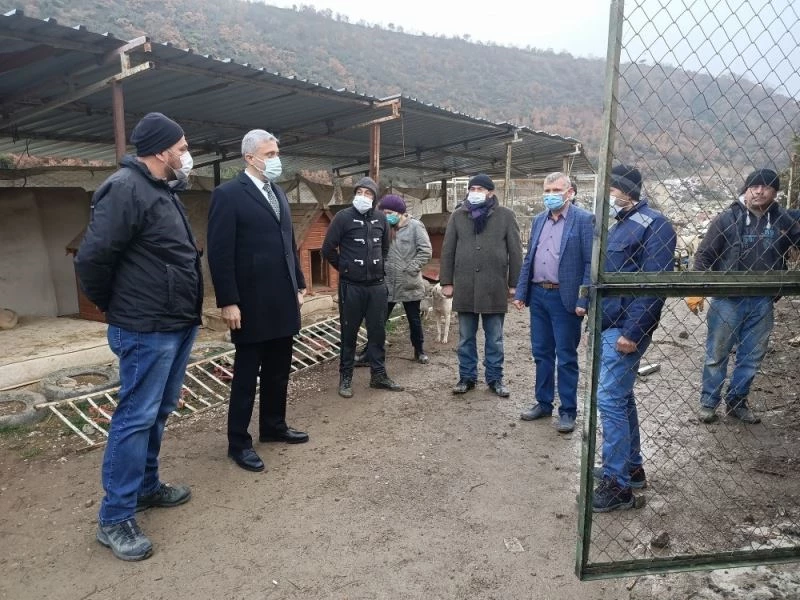 Geçici hayvan barınağına yeni ünite çalışması
