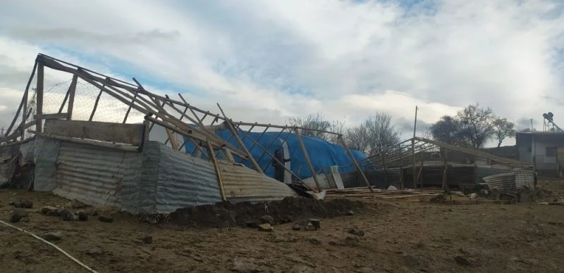Elazığ’da rüzgar  ağılın çatısını uçurdu
