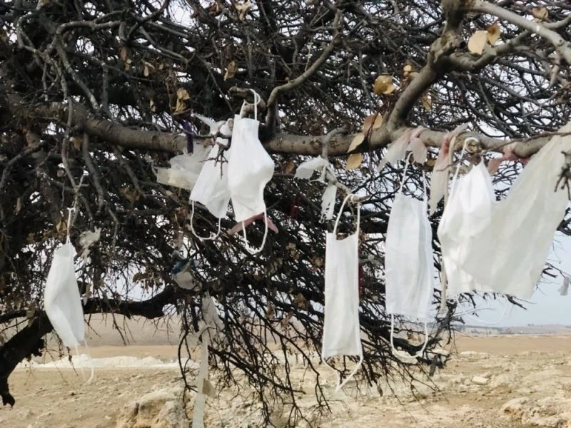 (Özel) Ağaca çaput yerine maske bağlandı
